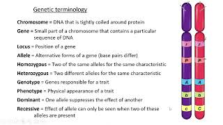 Animal genetics Lesson 1 [upl. by Flodur]