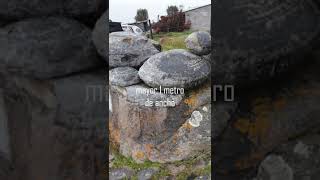 Conchas Gigantes Petrificadas en Chimborazo Ecuador [upl. by Htrowslle]