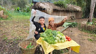 Orphan Boy  Chopping bamboo trees Making a sales booth Picking vegetables to sell for a living [upl. by Cormac]