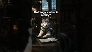 What is ontology researchmethods research shorts shortvideo learning philosophy [upl. by Intruok]