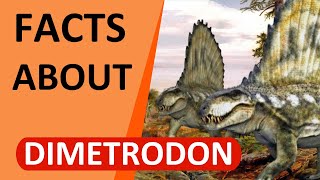 Facts About Dimetrodon  The DinosaurLike Mammal  2020Outdated [upl. by Gervais13]