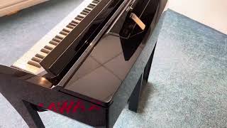 Used Yamaha CVP609 PE Digital Piano  Rimmers Music  Condition Walk Through With James [upl. by Egbert]