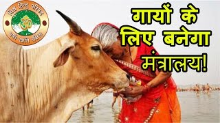 MODI Govt से VHP की मांग Cow Protection Ministry बनाने की मांग [upl. by Siana481]