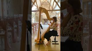 Adore You Harry Styles Harp Cover  Madeline Kirby Harpist [upl. by Aljan]