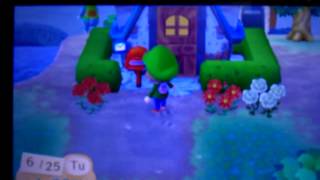 Animal Crossing New Leaf  Mailbox Seizure [upl. by Maon]