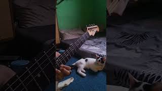 Boa Duvet guitar guitarcover duvet [upl. by Trefor874]