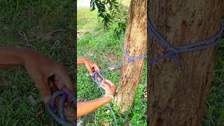 Learning the universal knot is simple [upl. by Jerald670]