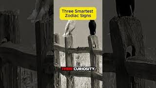 Three Smartest Zodiac Signs  astrology future zodiacsigns [upl. by Dnivra]