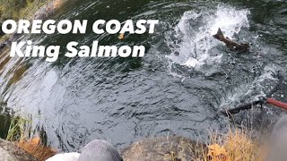 OREGON COASTAL RIVER  CHINOOK SALMON FISHING [upl. by Gwenni]