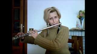 Braveheart Theme Flute [upl. by Matrona]