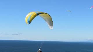 Gliderport Torrey Pines California Beautiful hanggliders Paragliders March 1 2024 [upl. by Koslo]