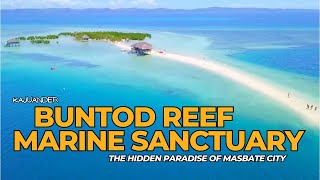 BUNTOD REEF MARINE SANCTUARY amp SANDBAR  THE HIDDEN PARADISE OF MASBATE CITY [upl. by Adyeren]