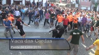 Vaca das Cordas 2016 HD [upl. by Fonzie]