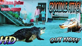 मगरमच्छ  crocodile attack short filmcrocodilescrocodilevideocrocodiles [upl. by Nine]