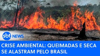 Crise ambiental queimadas e seca se alastram pelo Brasil [upl. by Ydarb]