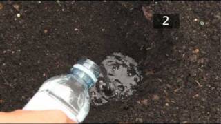 How To Test Soil PH [upl. by Elonore91]