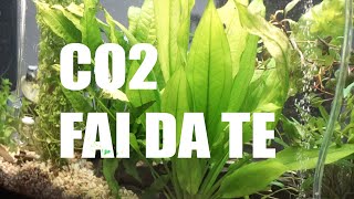 CO2 IN FAI DA TE IN ACQUARIO KIT ACIDO CITRICO E BICARBONATO TUTORIAL [upl. by Oderfigis611]