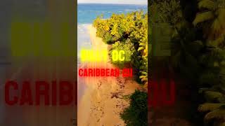 Billy Ocean  Caribbean Queen carribeanqueen billyocean lyrics lyricsvideo shortmusic short [upl. by Kandy711]