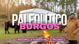 PALEOLÍTICO VIVO Un SAFARI en BURGOS con 20000 años de HISTORIA [upl. by Airotahs]