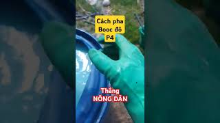 Cách pha Booc do  How to mix Bordeaux solution to protect plants thangnongdan farming farmer [upl. by Pearse]