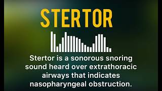 stertor sound lung pathologic sound [upl. by Atinrahs]