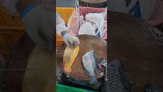 Tilapia fillet fypシ゚viral fishfillet cuttingskils [upl. by Streetman]