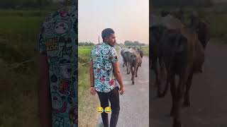 Bhai iPhone chal rahe hai samne 🤣😂😂viralvideo gaon [upl. by Eseerehc654]