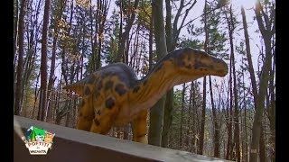 Liviu Vârciu și copiii din tabăra lui nea Mărin merg să vadă dinozaurii de la Dino Park din Râșnov [upl. by Ottie]