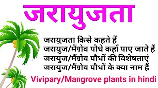 vivipary in plants  mangrove forest in hindi  mangroves  viviparous germination  जरायुजता hindi [upl. by Searby]