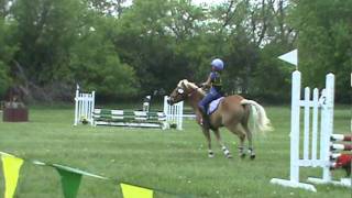 My worst fall ever Horse Bucking and Bolting [upl. by Brezin]