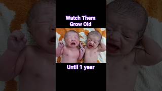 Cute Twin Newborn Babies timelapse until one Year [upl. by Soalokcin359]