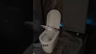 Modern Bidet Toilet [upl. by Zaller]