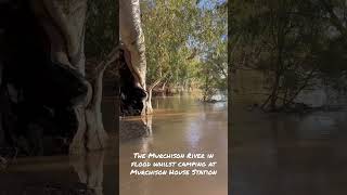 The Murchison River in flood whilst camping on Murchison House Station [upl. by Arlene]