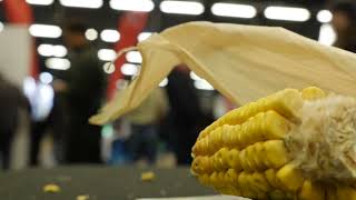 Day 2 Highlights from the 2024 Western Canadian Crop Production Show in Saskatoon Saskatchewan [upl. by Eceryt]