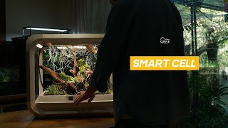 A Smart Cell Tank Paludarium [upl. by Eniad449]