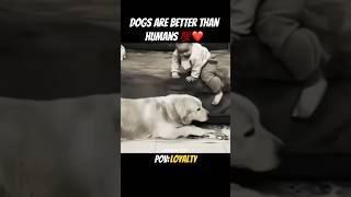 Dogs are better than humans 💯❤️ dogs child human love shorts [upl. by Bristow]