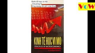 Kinh tế học vi mô Chương 8 Ứng dụng chi phí của thuế [upl. by Atsirt54]