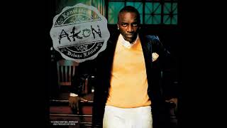 Akon  Sorry Blame It On Me slowed  reverb [upl. by Olivie700]