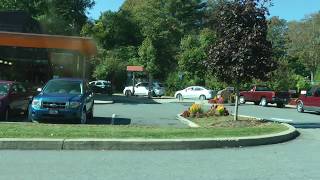 pretty flowers at Dunkin Donuts in Matamoras Pennsylvania [upl. by Godderd504]