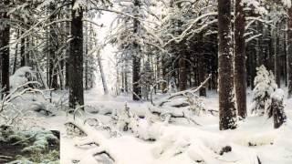 La pittura e la neve da Bruegel a Monet [upl. by Ahsiaa]