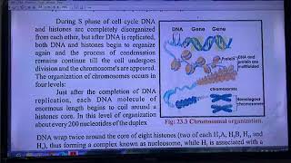 Chromosomes and DNA  Gene Expression  Mutation [upl. by Othello]