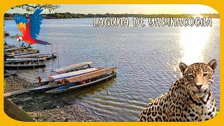 La Laguna de Yarinacocha en Pucallpa Peru [upl. by Enidanreb429]