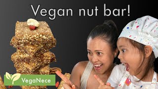 Vegan Nut Bar Recipe [upl. by Ettelrac]