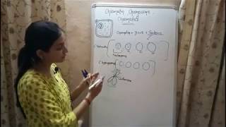 BIOLOGY Lecture 3  Chromatin Chromosome and Chromatid  Genetics Biology [upl. by Eelatan402]