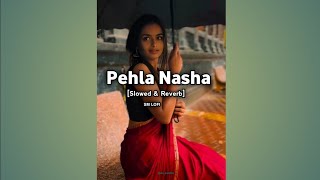 Pehla Nasha Lyrics Udita Narayan Slowed amp Reverb  SM LOFI [upl. by Eetnuahs629]