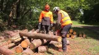 ECC1  Crosscutting timber European Chainsaw Certificate [upl. by Odessa]