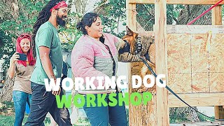 Decoy amp Working Dog Workshop  Grassroots K9 [upl. by Malia]