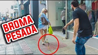 Las Mejores BROMAS PESADAS De La SERPIENTE l Humor l Videos De Risa [upl. by Marv]