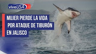 Esto se sabe del ataque de tiburón en playas de Jalisco [upl. by Guglielmo384]