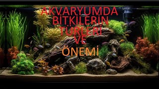 AKVARYUM BÄ°TKÄ°LERÄ°NÄ°N TÃœRLERÄ° ve Ã–NEMÄ°  Akvaryum  AquaJellys [upl. by Halian447]